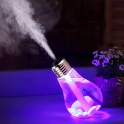 Bulb Humidifier