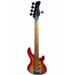 5-string Bass Guitar with a Bag and Stand