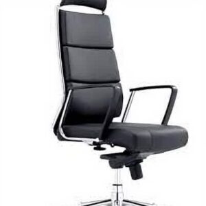 Executive Chair with Lumbar Support